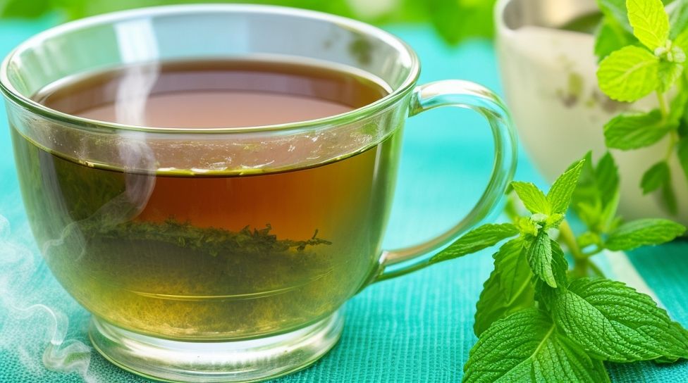 StepbyStep Guide How to Make Catnip Tea for Cats at Home The Tea Masters Hub