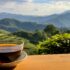 Is Oolong Tea a Black Tea? Get the Tea Truth Here.