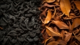 Is Oolong Tea the Same as Black Tea? Unraveling the Facts