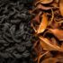 Unveiling the Difference Between Oolong and Black Tea