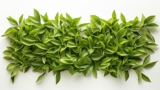 Unveiling The Mystery: What is the pH of Green Tea?